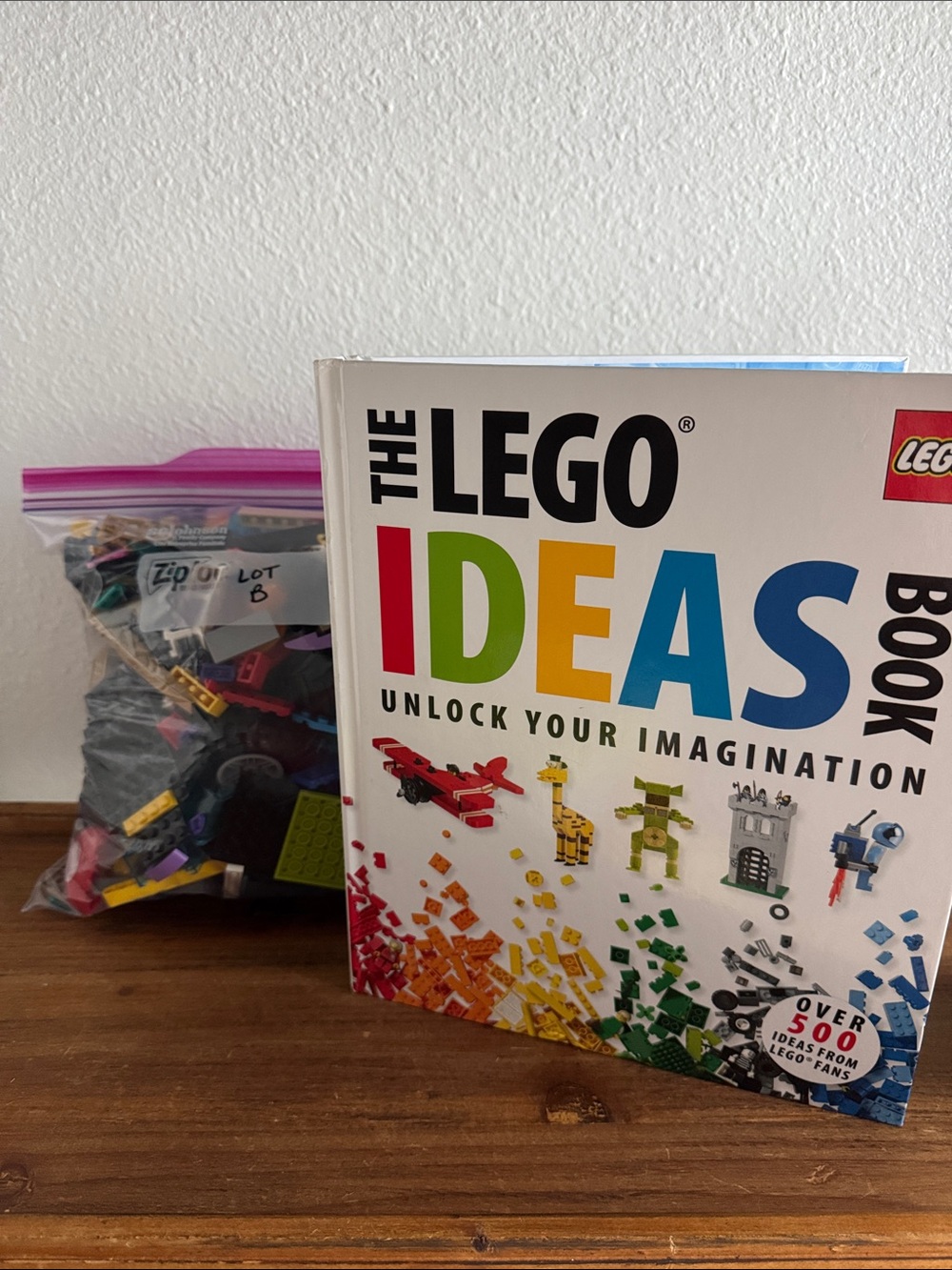 The LEGO Ideas Book - 2 lbs of LEGO bricks
Lot B